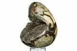 Septarian Dragon Egg Geode - Sparkly Black Crystals #308820-2